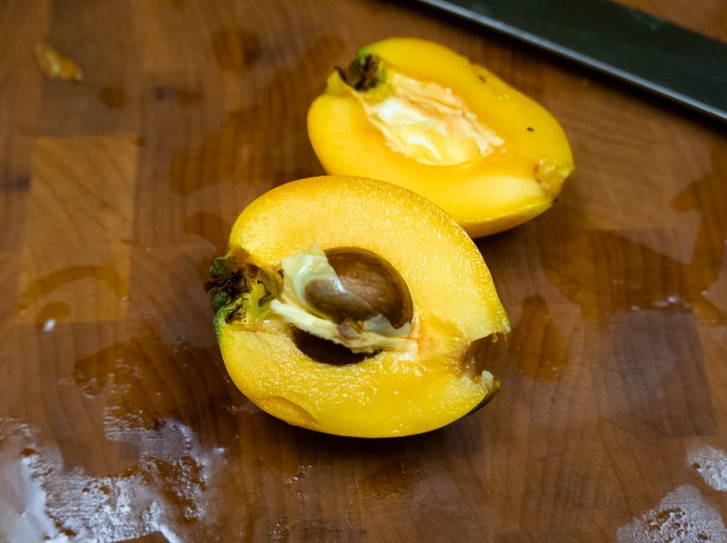 inside of a loquat