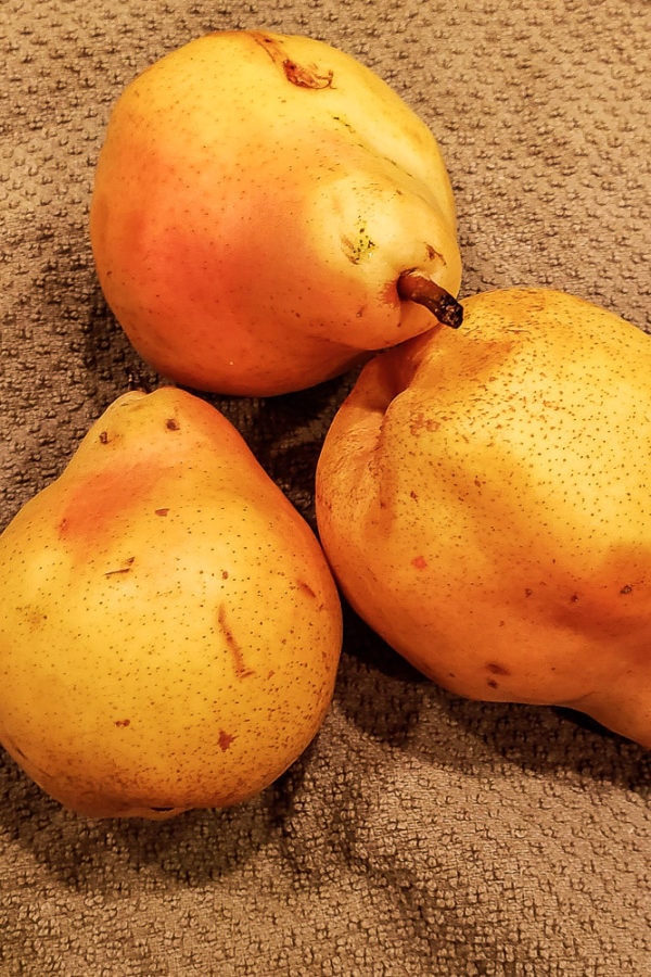 three bartlett pears on a brown towel