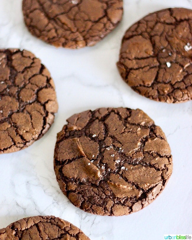 chocolate fudge cookies on white