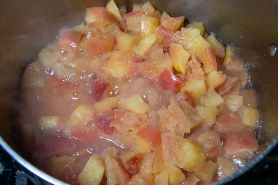 Apples ready for blending