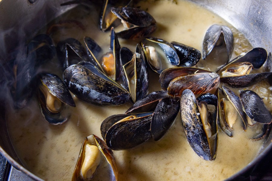 Mussels in cider and cream in a pan